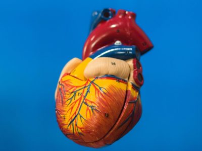Akútny infarkt myokardu – ako ho rozpoznať a ako mu predchádzať